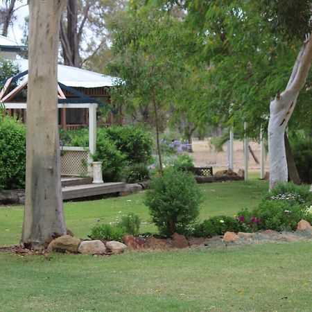 Rosebank Homestead&Farmstay Dalby Eksteriør billede