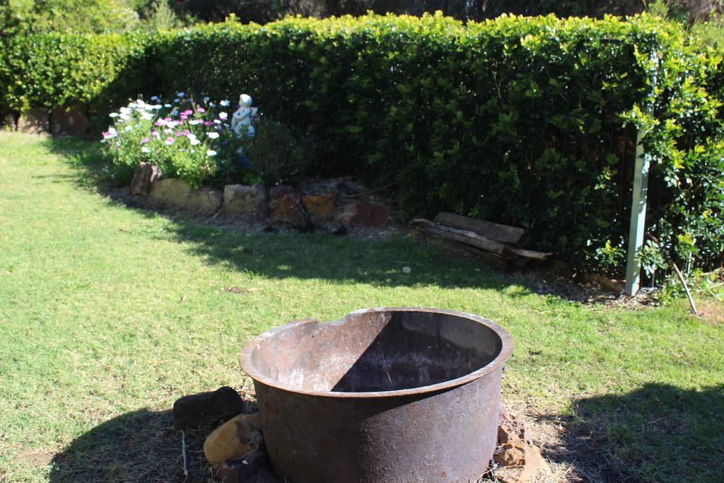 Rosebank Homestead&Farmstay Dalby Eksteriør billede