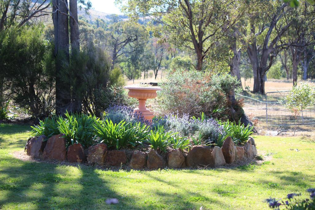 Rosebank Homestead&Farmstay Dalby Eksteriør billede