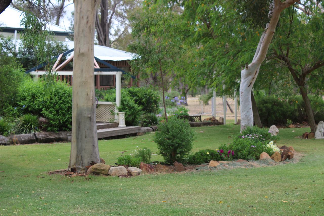 Rosebank Homestead&Farmstay Dalby Eksteriør billede