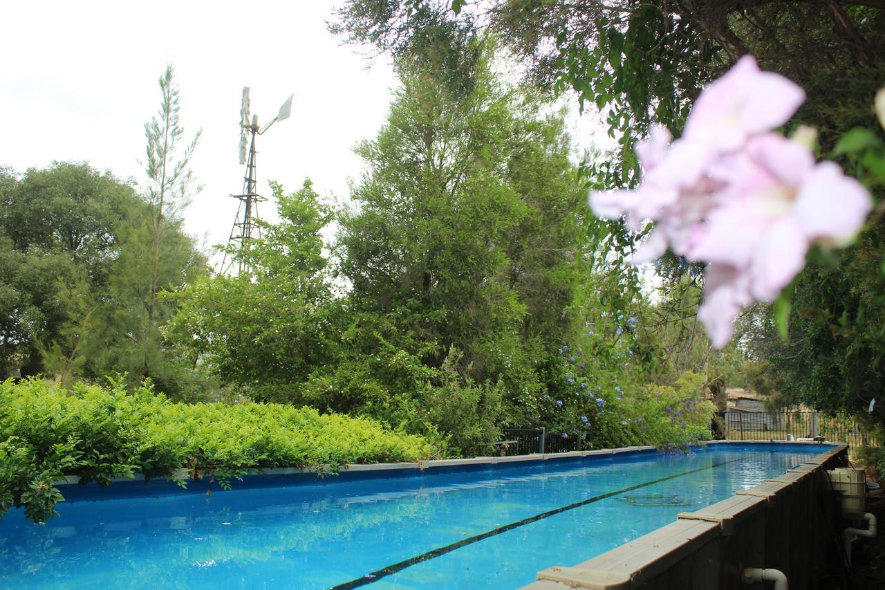 Rosebank Homestead&Farmstay Dalby Eksteriør billede